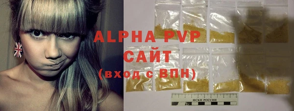 индика Белокуриха