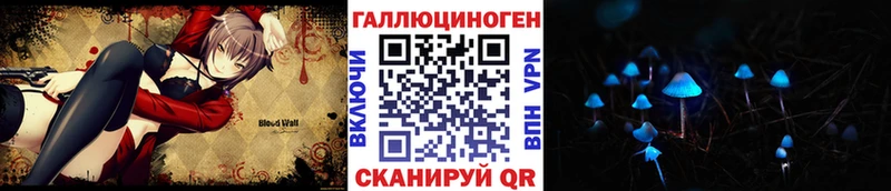 купить наркотик  kraken tor  Галлюциногенные грибы Psilocybine cubensis  Шилка 